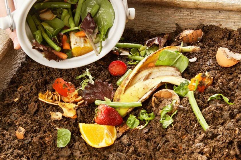 How to Recycle And Compost Food Scraps to Reduce Waste